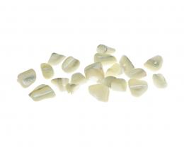 20 Vintage Natural Beads Mother Pearl Chips